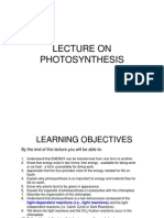 Photosynthesis LECTURE