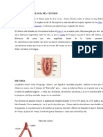 Anatomia y Fisiologia Sexual Humana 2012