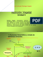 UT5 Nutricion Vegetal 2010