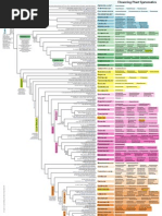 Cronquist's Plant Classification System | PDF | Plants | Family