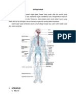 Sistem Saraf Pada Manusia