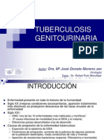 Tuberculosis Urogenital
