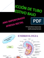 Origen y desarrollo del tracto gastrointestinal y anomalías congénitas del ano y recto