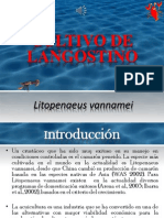 Cultivo de Langostino