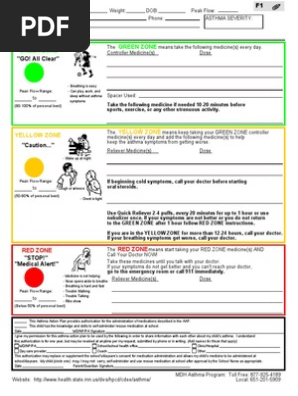 Asthma Action Plan to Go With Scenario E OSCE Skills Practice File
