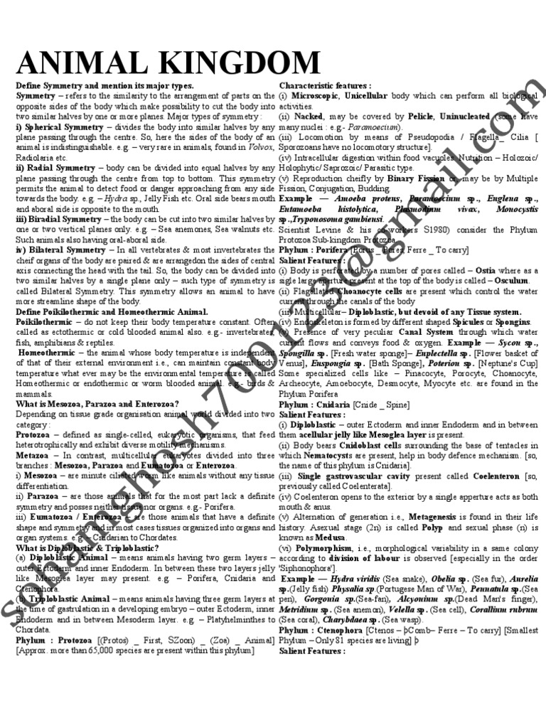 Animal ClassificatAnimal Classification - Ion | PDF | Vertebrates ...
