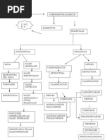 Esquema de La Celula