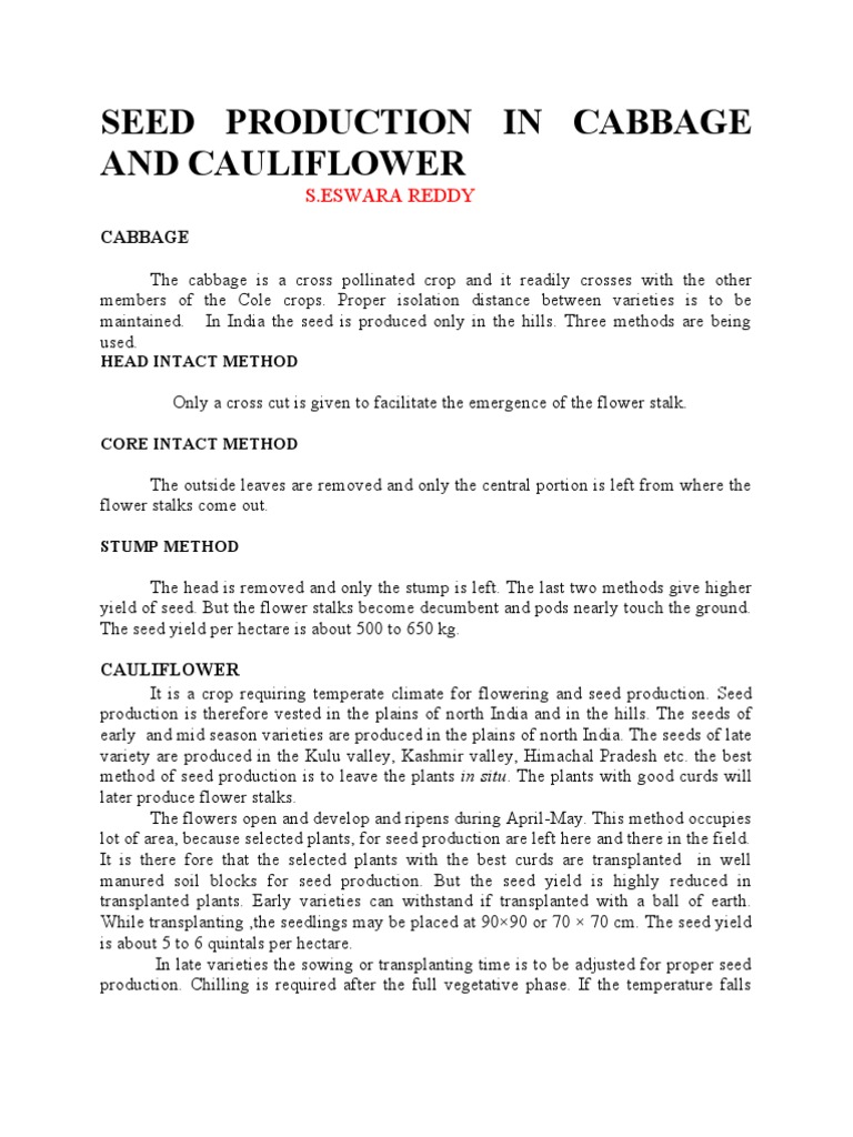 Cabbage and Cauliflower Seed Production | PDF | Cauliflower | Seed