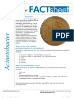 FactSheet Acinetobacter