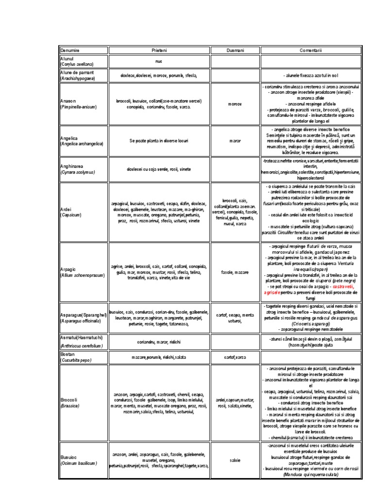 Gradina R It | PDF