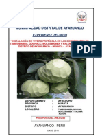 EXP. TENCINO DE AYAHUANCO DE FRUTICOLA.pdf