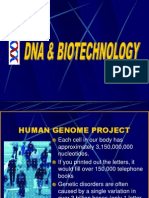 k Biotechnology
