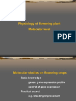 Physiology of Flowering Plant Molecular Level