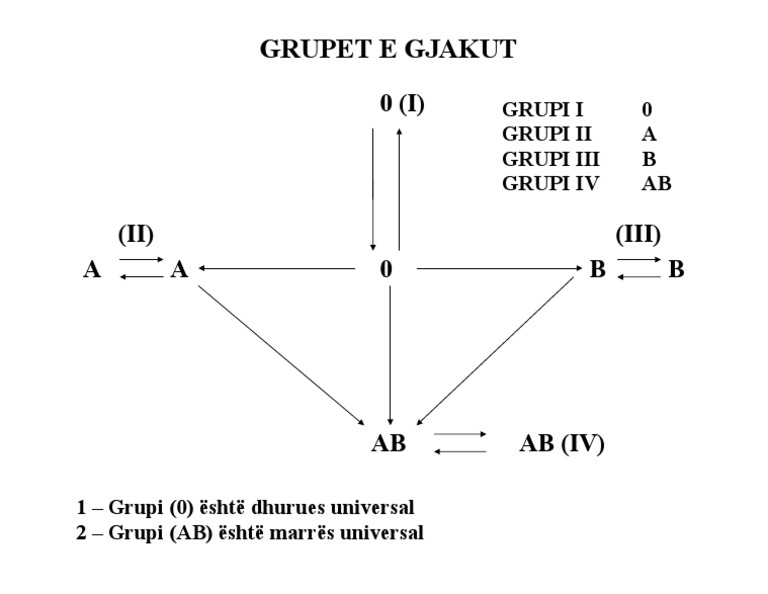 Grupet e Gjakut | PDF