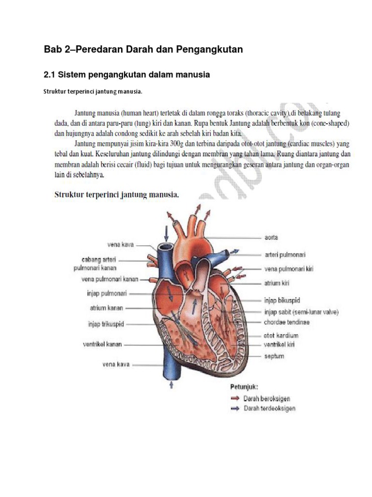 Bab 2 Sains Form 3 Pdf