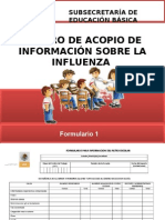 Presentación Influenza