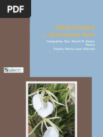 Download Album Orquideas by SIMBIOSIS MIRN SA de CV SN15453188 doc pdf