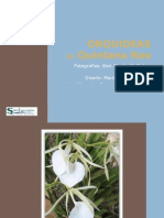 Download Album Orquideas by SIMBIOSIS MIRN SA de CV SN15453188 doc pdf
