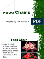 Food Chains: Adapted by Yair Herrera F