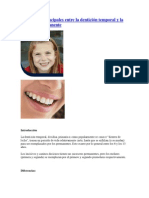Diferencias principales entre la dentición temporal y la dentición permanente