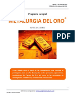 Programa Integral Metalurgia Del Oro - Virtual Jul 2013