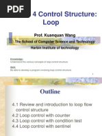 Loop in C