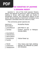 Know the Varieties of Jasmine