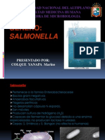 GENERO Salmonella