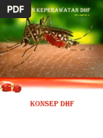 Download PPT DHF PRESENTASIpptx by Rafiuddin Rasyid Syaban SN154656970 doc pdf