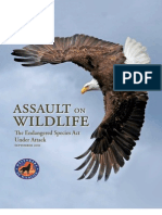 Assault on Wildlife