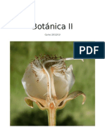 Botánica II Sistemática PDF