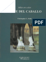 30742982 Atlas El Pie Del Caballo