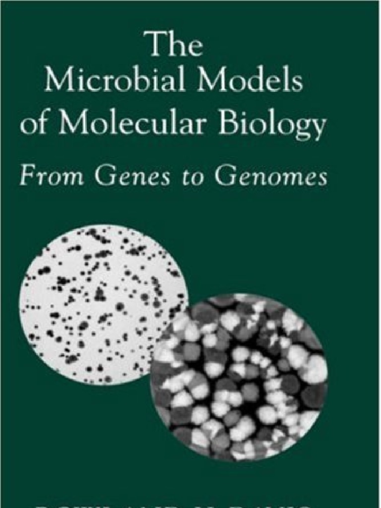 The Microbial Models Of Molecular Biology Heredity Earth - 