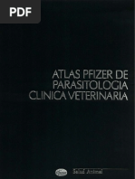 Veterinarian