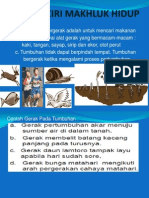 Berkembang Biak Tumbuhan dan Hewan