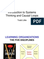 Systems Causal Loops