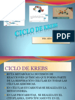 Ciclo de Krebs