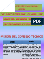 Consejo Técnico