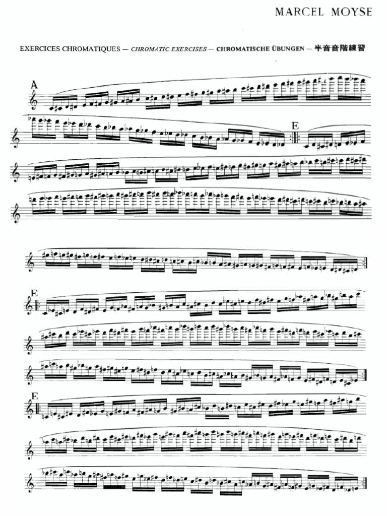 Flute Moyse Daily Exercises Complete