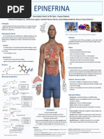 Poster Bioquimica - Epinefrina 2012