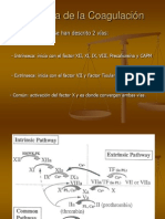 Coagulacionyfibrinolisis