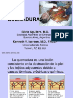 Quemaduras PDF