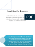 Identificación de Genes