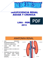 Eposicion de Irc e Ira