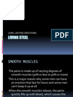 Living Steel: Long Lasting Erections