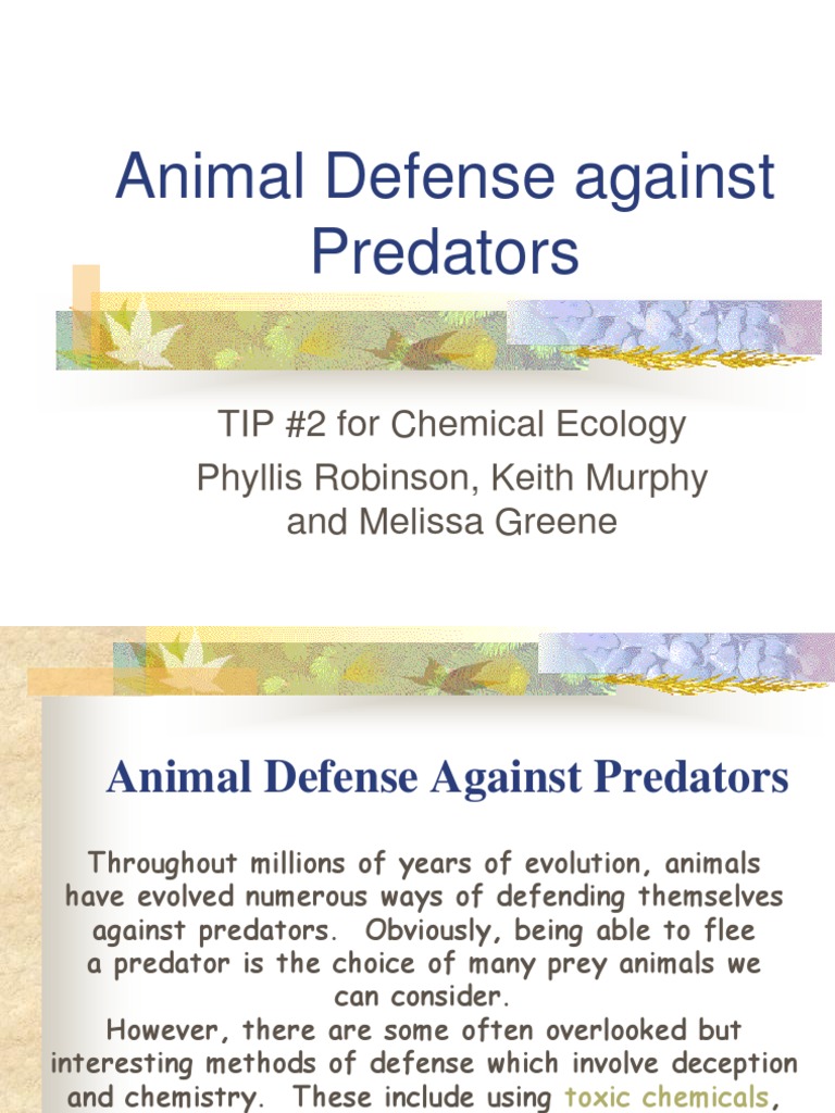 Animal Defenses: Chemical, Camouflage, Mimicry | PDF | Mimicry | Predation