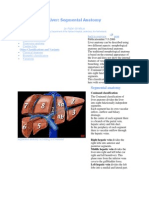 Liver Anatomy