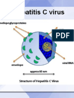 HCV - hepatitis c virus