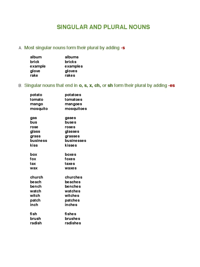 Singular and Plural Noun Rules | PDF | Grammatical Number | Noun
