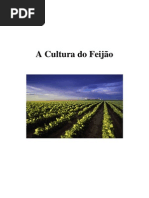 A Cultura do Feij-o